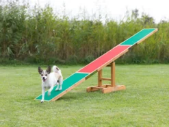 Trixie Dog Activity Fun Agility Wippe Aus Kiefernholz 12 Trixie Dog Activity Fun Agility Wippe Aus Kiefernholz -Günstiges Hundeshop Geschäft 963430 Product