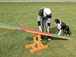 Trixie Dog Activity Fun Agility Wippe Aus Kiefernholz 13 Trixie Dog Activity Fun Agility Wippe Aus Kiefernholz -Günstiges Hundeshop Geschäft 963431 Product