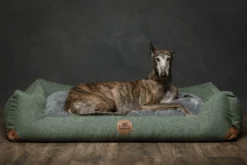 Swaggin Tails Hundebett Sömnig Waldgrün 14 Swaggin Tails Hundebett Sömnig Waldgrün -Günstiges Hundeshop Geschäft 966087 Product