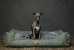 Swaggin Tails Hundebett Sömnig Waldgrün 15 Swaggin Tails Hundebett Sömnig Waldgrün -Günstiges Hundeshop Geschäft 966088 Product