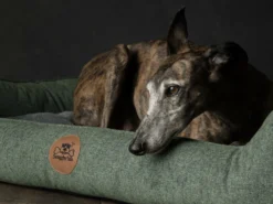 Swaggin Tails Hundebett Sömnig Waldgrün 16 Swaggin Tails Hundebett Sömnig Waldgrün -Günstiges Hundeshop Geschäft 966089 Product