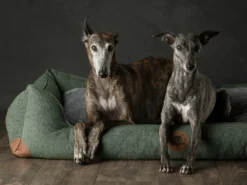 Swaggin Tails Hundebett Sömnig Waldgrün 17 Swaggin Tails Hundebett Sömnig Waldgrün -Günstiges Hundeshop Geschäft 966090 Product