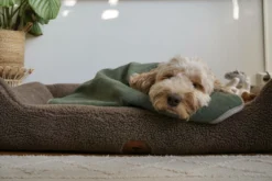 Swaggin Tails Plaid Hundedecke Waldgrün 10 Swaggin Tails Plaid Hundedecke Waldgrün -Günstiges Hundeshop Geschäft 966475 Product