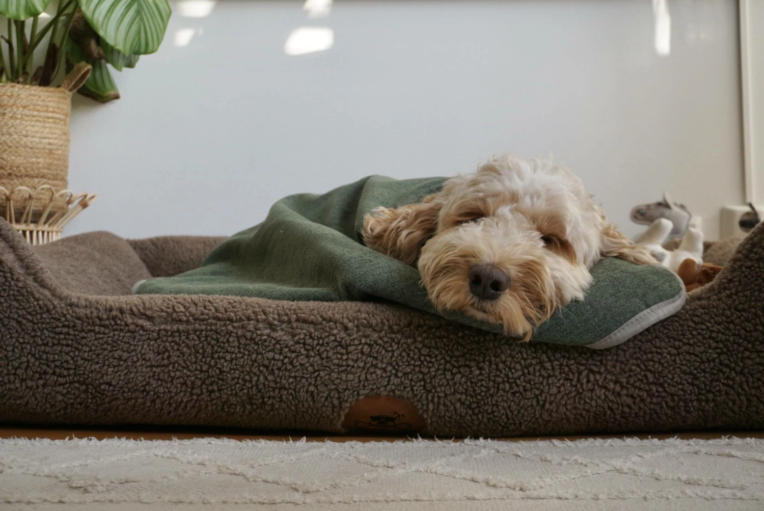 Swaggin Tails Plaid Hundedecke Waldgrün 6 Swaggin Tails Plaid Hundedecke Waldgrün – Bild 4