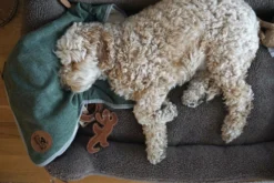 Swaggin Tails Plaid Hundedecke Waldgrün 11 Swaggin Tails Plaid Hundedecke Waldgrün -Günstiges Hundeshop Geschäft 966476 Product