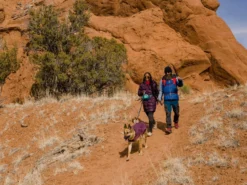 Ruffwear Overcoat Fuse Hundemantel-Geschirr Purple Rain 24 Ruffwear Overcoat Fuse Hundemantel-Geschirr Purple Rain -Günstiges Hundeshop Geschäft 967762 Product