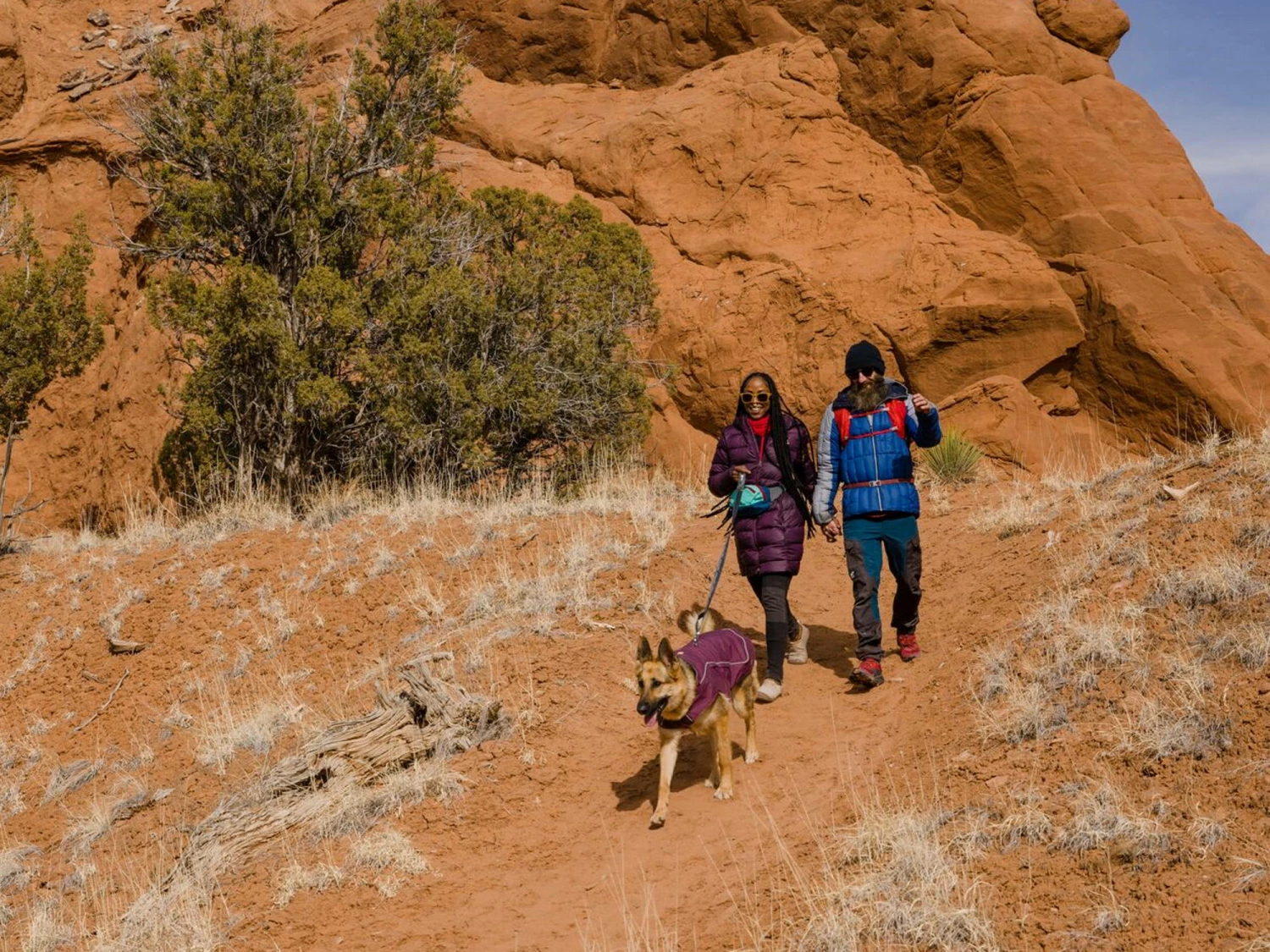 Ruffwear Overcoat Fuse Hundemantel-Geschirr Purple Rain 13 Ruffwear Overcoat Fuse Hundemantel-Geschirr Purple Rain – Bild 11