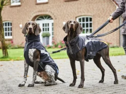 Wolters Hundejacke Xtra Strong Schwarz/neon Orange 11 Wolters Hundejacke Xtra Strong Schwarz/neon Orange -Günstiges Hundeshop Geschäft 971798 Product