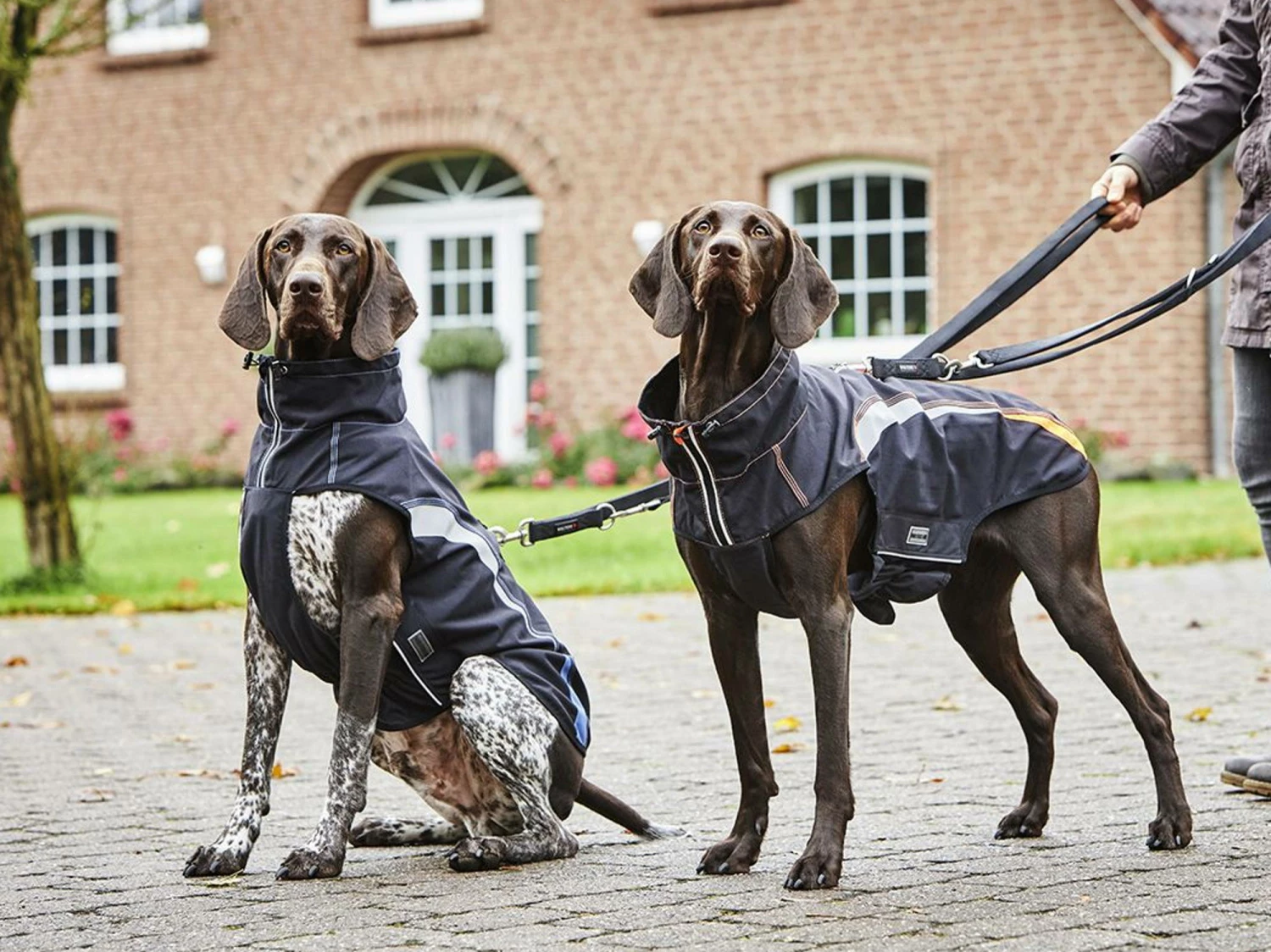 Wolters Hundejacke Xtra Strong Schwarz/riverside Blue 7 Wolters Hundejacke Xtra Strong Schwarz/riverside Blue – Bild 5