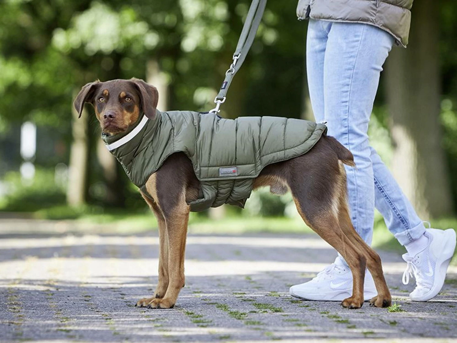 Wolters Steppjacke Cosy Warmer Hundemantel Olive 4 Wolters Steppjacke Cosy Warmer Hundemantel Olive – Bild 2