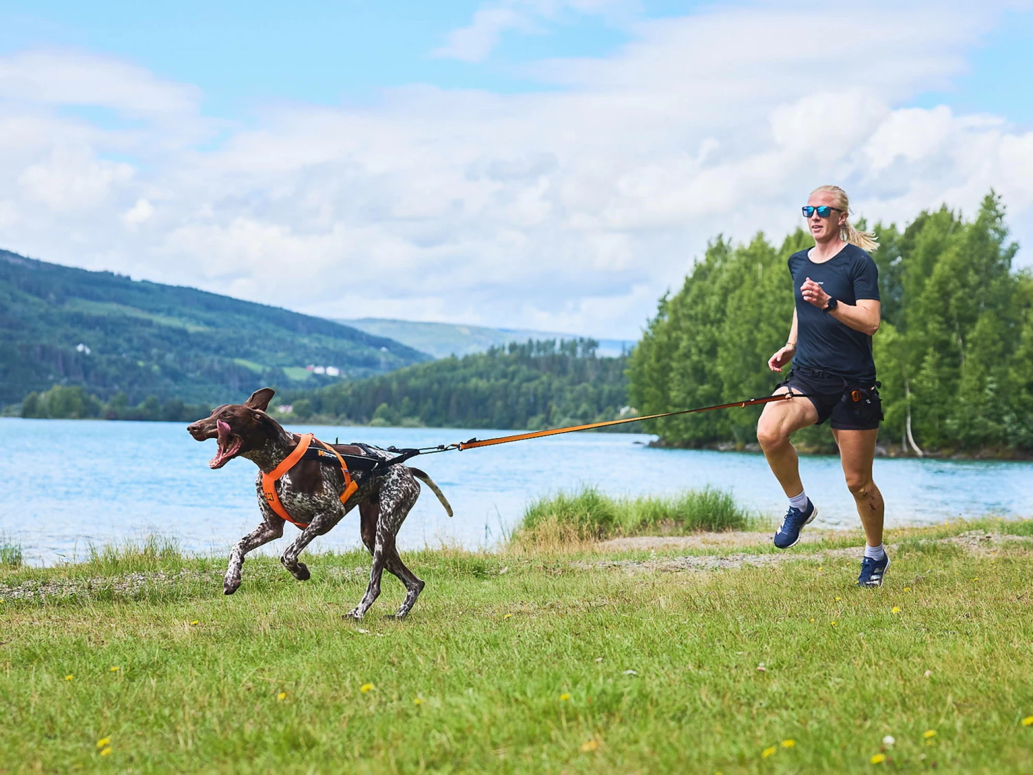 Non-Stop Dogwear Zughundegeschirr Freemotion Harness 5.0 Orange 10 Non-Stop Dogwear Zughundegeschirr Freemotion Harness 5.0 Orange – Bild 8