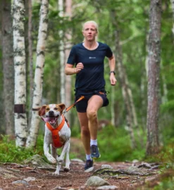 Non-Stop Dogwear Zughundegeschirr Freemotion Harness 5.0 Orange 21 Non-Stop Dogwear Zughundegeschirr Freemotion Harness 5.0 Orange -Günstiges Hundeshop Geschäft 978361 Product