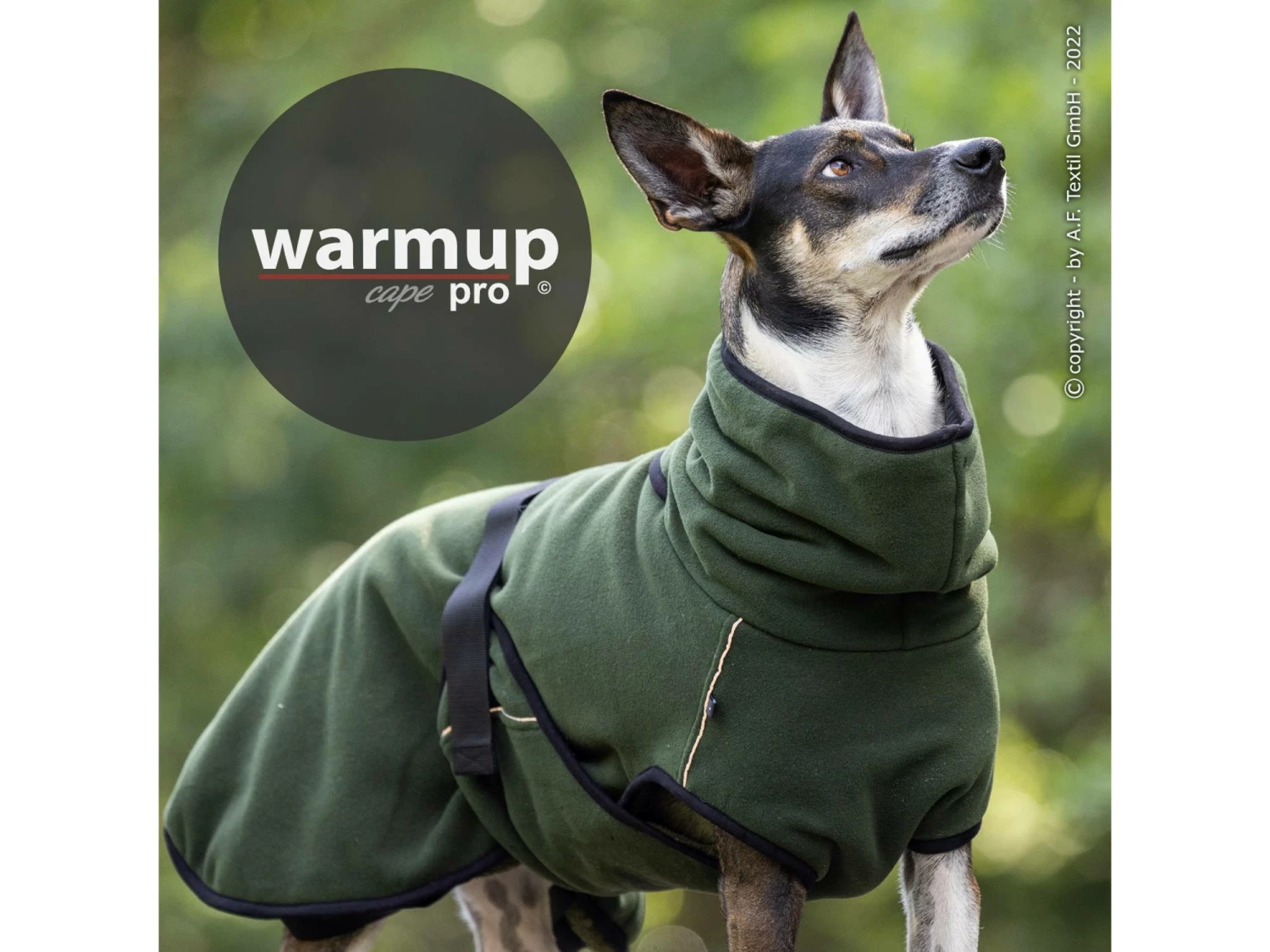 Warmup Cape Pro Hundemantel & Bademantel Pine Green 3 Warmup Cape Pro Hundemantel & Bademantel Pine Green