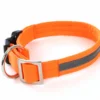 Weltmeisters Dogsport Hundehalsband Soft Mit Click Orange -Günstiges Hundeshop Geschäft 987167 Product