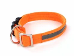 Weltmeisters Dogsport Hundehalsband Soft Mit Click Orange