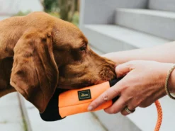 Hunter Trainer Snack Dummy Mit Seil -Günstiges Hundeshop Geschäft 995696 Product