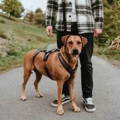 Hunter Sicherheitsgeschirr Maldon Schwarz/grau 18 Hunter Sicherheitsgeschirr Maldon Schwarz/grau -Günstiges Hundeshop Geschäft 996034 Product