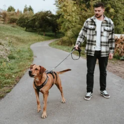 Hunter Sicherheitsgeschirr Maldon Schwarz/grau 20 Hunter Sicherheitsgeschirr Maldon Schwarz/grau -Günstiges Hundeshop Geschäft 996036 Product