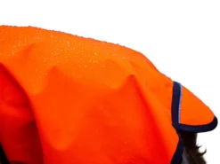 Active Cape Elastic Wind & Rain Orange 7 Active Cape Elastic Wind & Rain Orange -Günstiges Hundeshop Geschäft 997223 Product