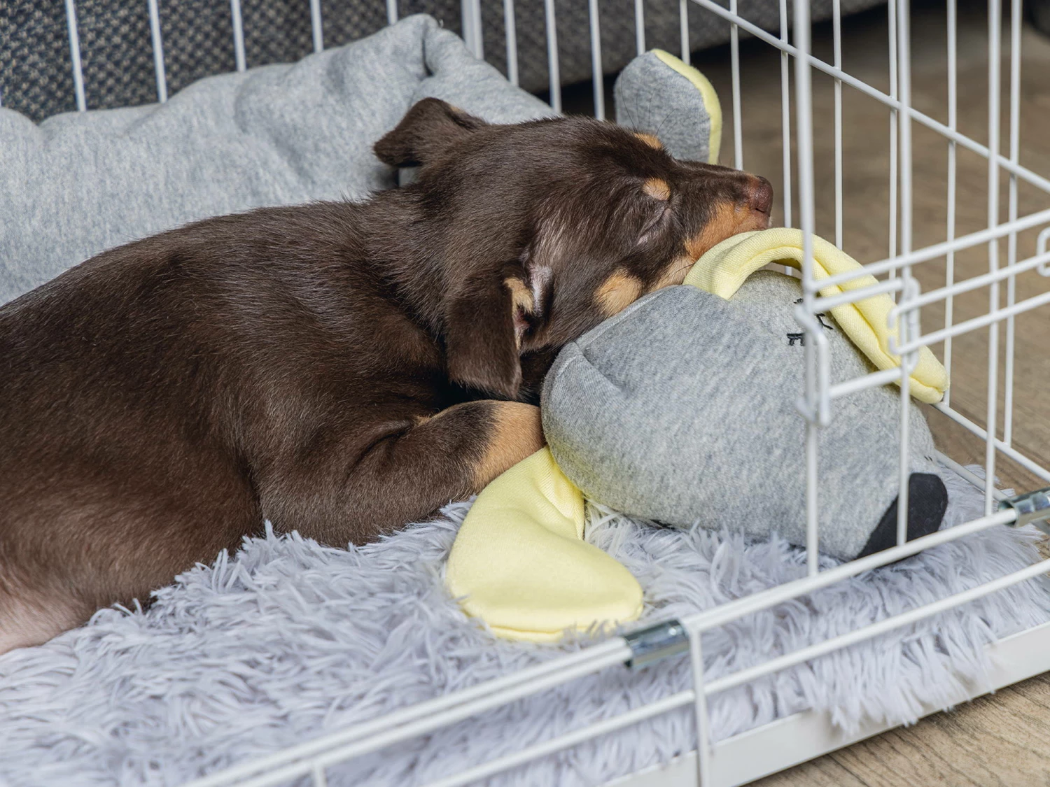 Hello Puppy Welpen Schlafrolle Doggy 4 Hello Puppy Welpen Schlafrolle Doggy – Bild 2