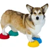 FitPAWS® Paw Pods Set 2 FitPAWS® Paw Pods Set -Günstiges Hundeshop Geschäft 999234 Product