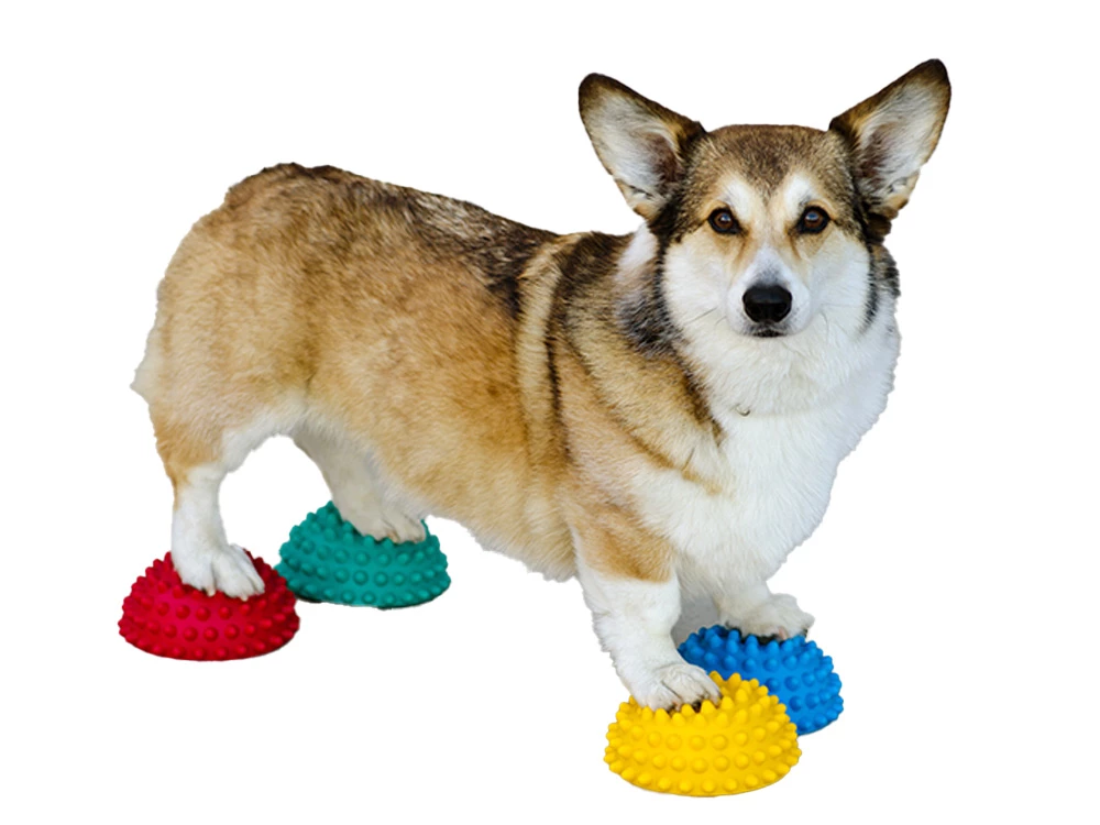 FitPAWS® Paw Pods Set 3 FitPAWS® Paw Pods Set
