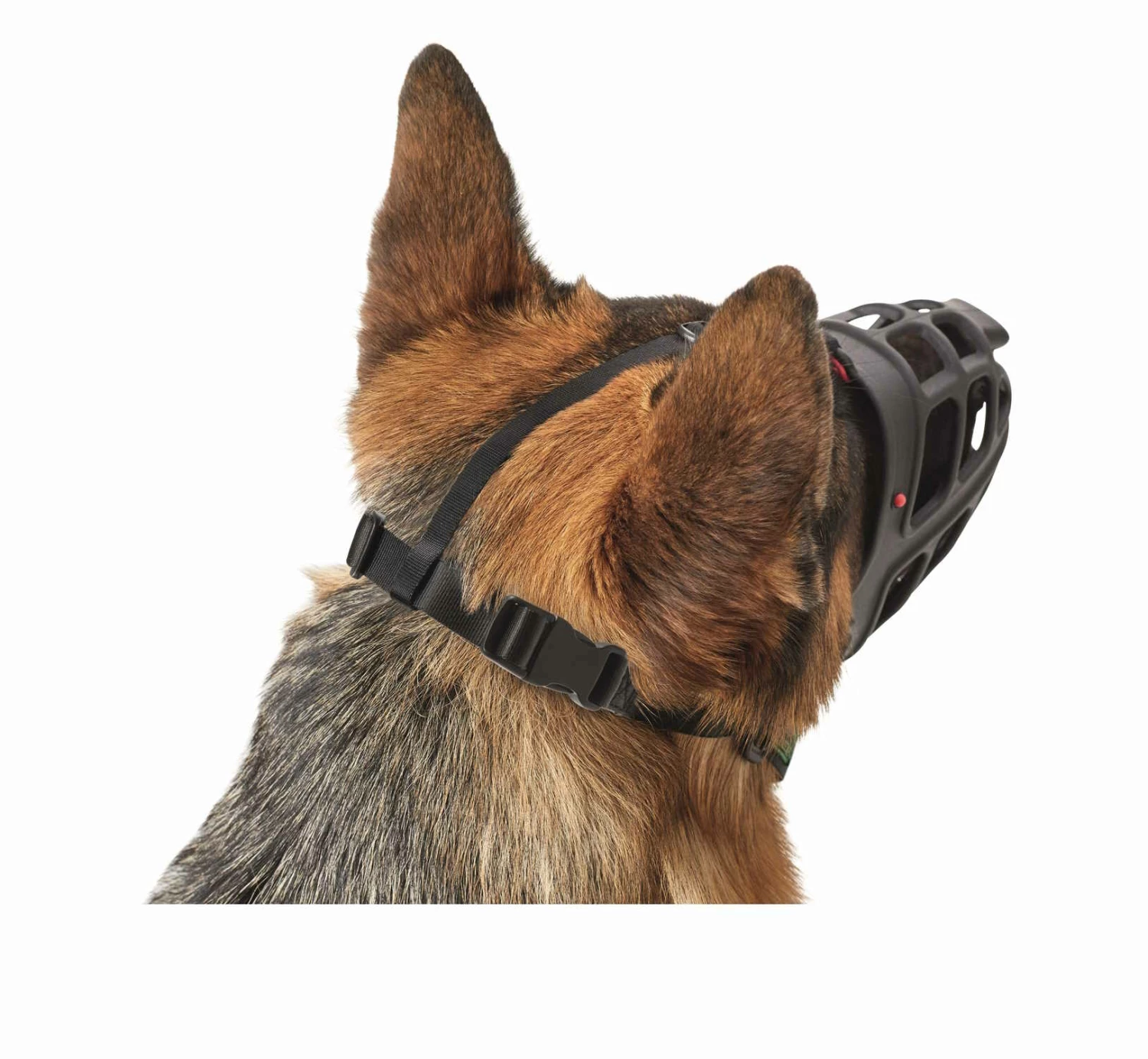 Hunter Maulkorb Albury 10 Hunter Maulkorb Albury – Bild 8