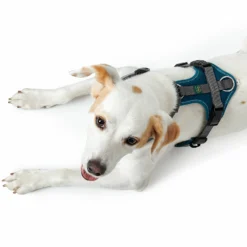 Hunter Hundegeschirr Maldon Petrol/grau 10 Hunter Hundegeschirr Maldon Petrol/grau -Günstiges Hundeshop Geschäft maldonpetrol04